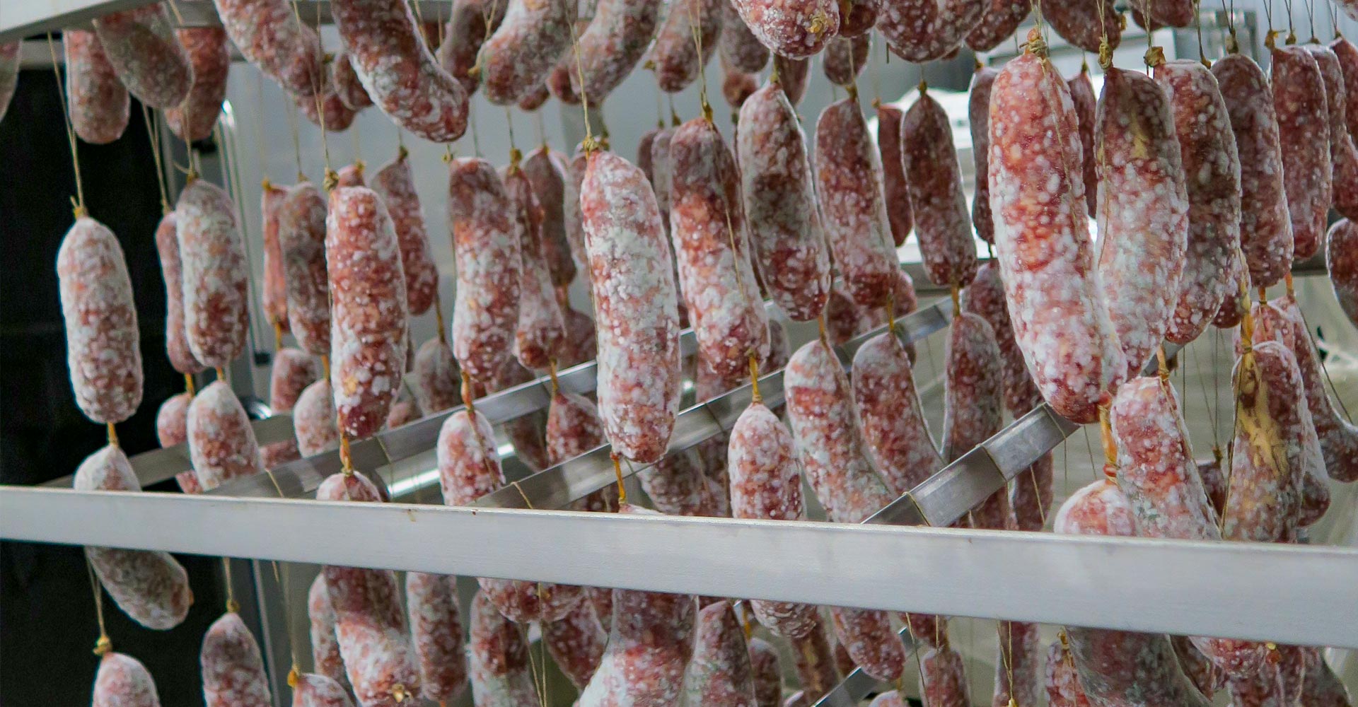 Salumi Lorenzi Lavorazione Prosciutti Cotti